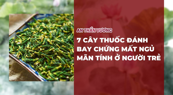 7 Cây thuốc đánh bay chứng mất ngủ mãn tính ở người trẻ