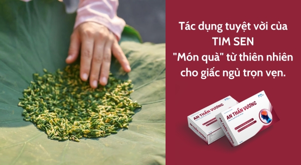 Tác dụng tuyệt vời của tim sen: Món quà từ thiên nhiên cho giấc ngủ trọn vẹn