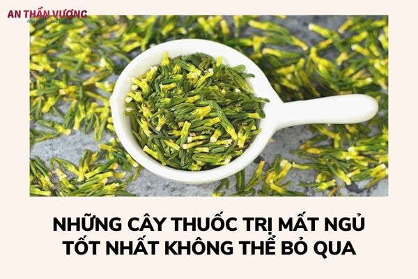 Những cây thuốc trị mất ngủ tốt nhất không thể bỏ qua